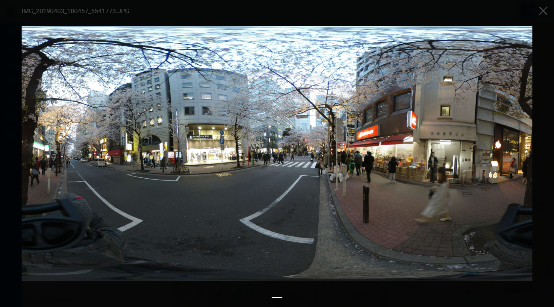 ../../_images/panotag_input.png