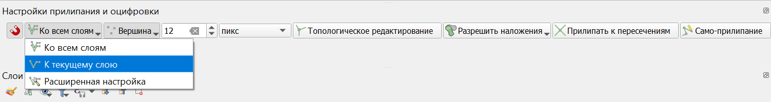 ../../_images/snap_settings_project_ru.png